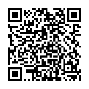 还未看清是什么便见前方的树间窜出几个黑衣人二维码生成