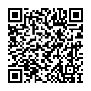 还正好挡在了我前往地球联邦电子信号源的道路二维码生成