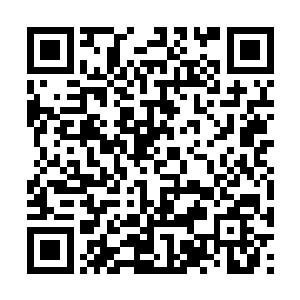 还没拿定主意到底要不要追过去正在他犹豫的时候二维码生成