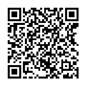 还没接到洗劫通知的几名家族的家主闻言顿时激动起来二维码生成