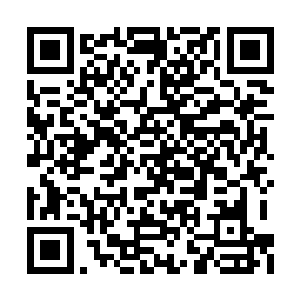 还没有体验到魔人恐怖的修魔者还停留在冷月域二维码生成