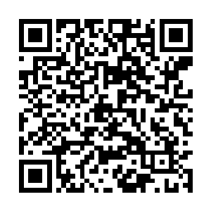 还没有去问他们愿不愿意加入……要是明年还没满二维码生成