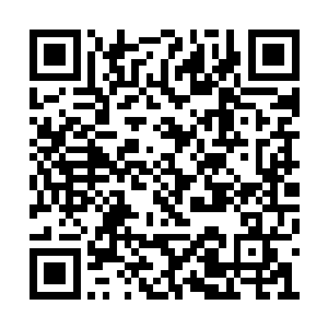 还没有哪个武者舍得将子树栽种在乾坤世界中的二维码生成