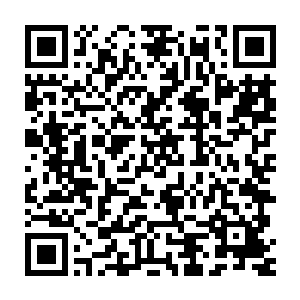 还没有意识到自己变异后的魂海和魂力会给自己带来多大好处的严默二维码生成