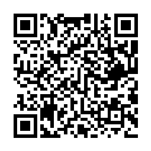 还没有来得及歇口气又匆匆的回到了这个叫做沙家坪的军营二维码生成