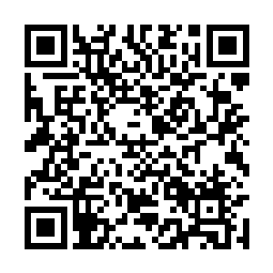 还没有等到我们将自己元神内杂乱的意识整理结束二维码生成