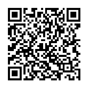 还没来得及继续往前走就再一次被我伸手抓住了手腕儿二维码生成