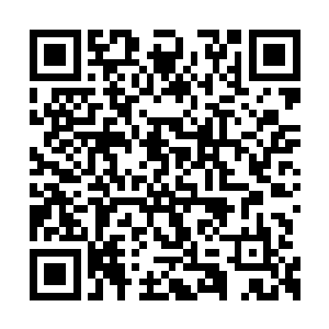 还没等他从巨狼那闪烁着寒光的牙齿上收回目光二维码生成