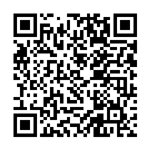 还没等沈丽缇和杜海琼从这些惊人的场面中回过神来二维码生成