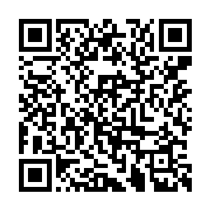 还没等第一只黑色飓风团里的黑色生物杀到一半二维码生成