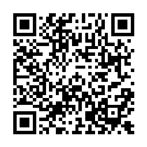 还没等鹏魔王和狮驼王从鼍洁这一丝笑意中感觉出什么来二维码生成