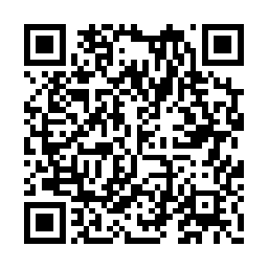 还没被杀死的黑精族天才与地魔族天才纷纷吼道二维码生成