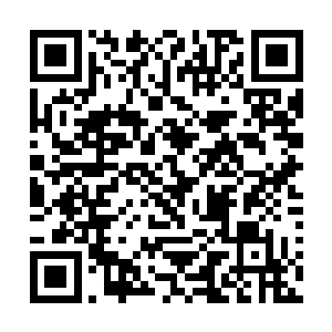 还特意把开幕式的大殿变成了一座17世纪的古城堡二维码生成