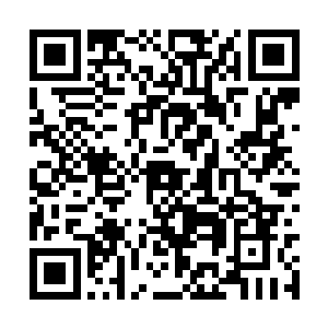 还特意让灰狼不许将自己在这里的消息告诉任何人二维码生成