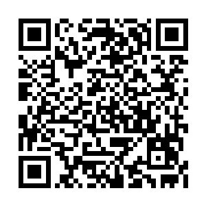 还看见自己之前给五位同伴烧烤小羊的野餐余烬二维码生成