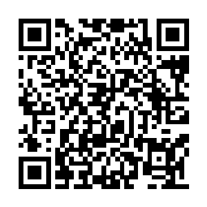 还真不敢把来历同样神秘莫测的蒋少涵当成朋友二维码生成