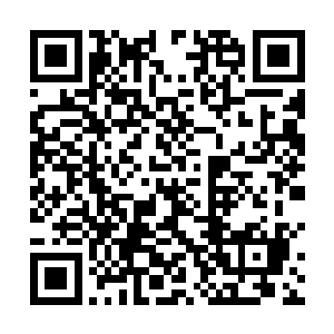 还真以为他家有点关系有两个臭钱就不知道自己姓啥了二维码生成