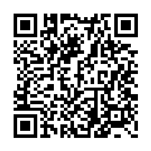 还真是推出了两个不知道几品的仙阵师开始破阵二维码生成