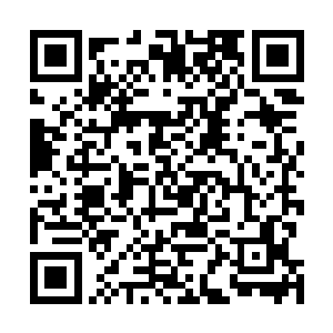 还真有些资历老的是二十多年前就已经跟在苏丛盛身边的二维码生成