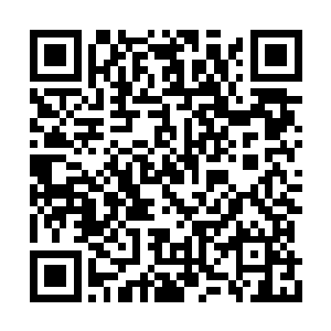 还真没想到这星王居然是一个中看不中用的家伙二维码生成