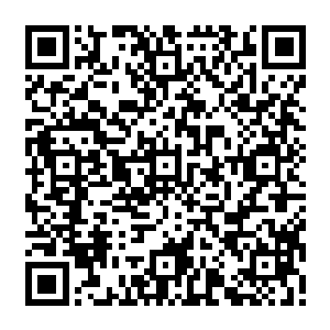 还真没红到会让哪家电视台进行实时追踪播报的程度国内似乎从来都没有过这个惯例二维码生成