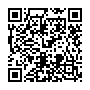 还真的就不是自己和大山三郎两个人能够干涉的二维码生成