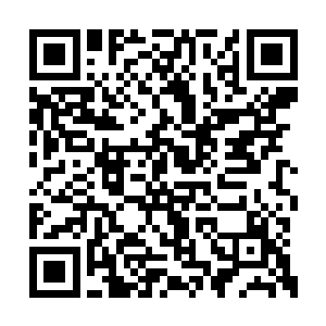 还真的就从来都没有出现在学生家长的历史当中二维码生成