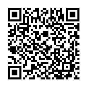 还真的就是让站在他面前的两个人有那么一些小郁闷二维码生成