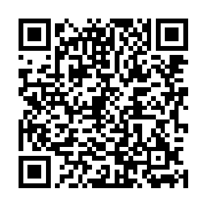 还真的就被这个略显有那么一些奶声奶气的声音给打扰到了二维码生成
