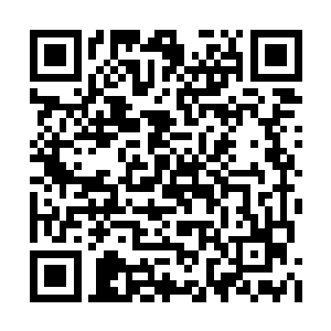 还真的就让自己还老头子有那么一些无话可说了二维码生成