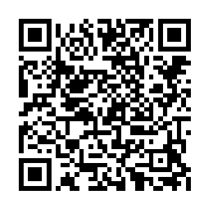 还真的把一只保险箱这么大摇大摆的放在厨房里二维码生成