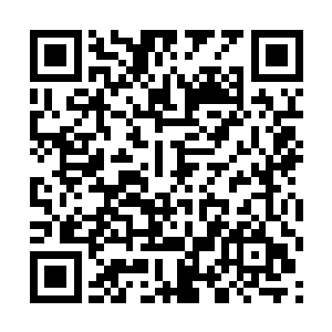 还真能把魏辰这样一位富二代给抓起来慢慢折磨不成二维码生成