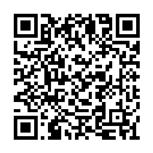 还矗立着一具具斑斑驳驳的雕像以及巨大的骨架二维码生成