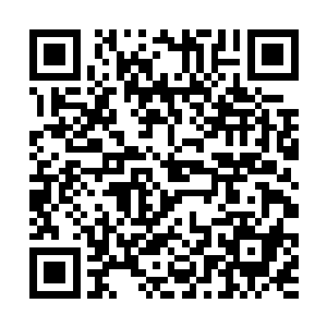 还竭力的做到每一脚都踩在了那巨猿化身的脚印当中二维码生成