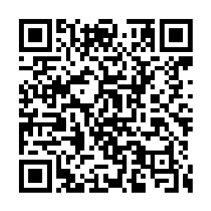 还纠结的在物资堆里找了个装着薄饼的袋子背上二维码生成