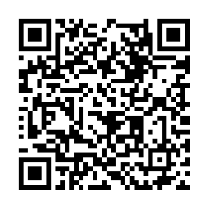 还经常能看见成群结队猴子胺啊在建筑周围上穿行二维码生成