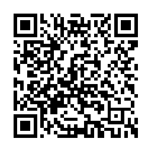 还给若溪打电话不过也是你小子活该这么被对待二维码生成