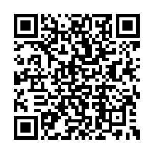 还能为默建立一支最忠心且武力不弱的私人军队二维码生成