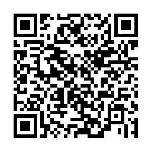 还能动弹的左手吃力伸到右边裤兜里去掏那两块石头二维码生成