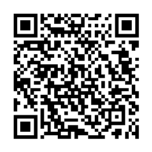 还能和金花有合作关系的就是第三关和老乔治他们了二维码生成