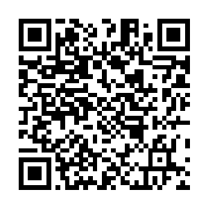 还能有三分之一以上的人义无反顾抛下一切来到自己身边二维码生成