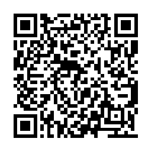 还能痛哭流涕的为自己的满身伤痕而心有不甘过二维码生成