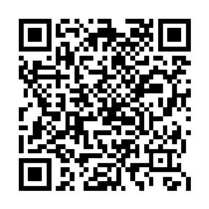 还若不是因为项书记是一个有诚意有魄力的领导二维码生成