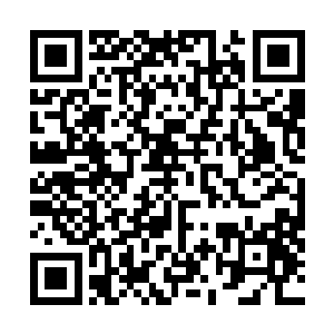 还要在外面去吃奇形怪状军粮……这感觉十分的不平衡啊二维码生成