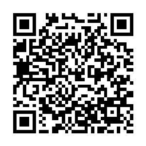 还要在河东境内组织差不多同样人数的民夫分段转运二维码生成