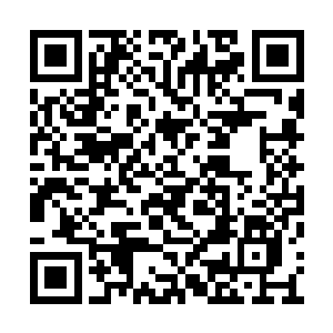 还要时不时偷瞄首座上的胡雷老爷子的委屈样子二维码生成