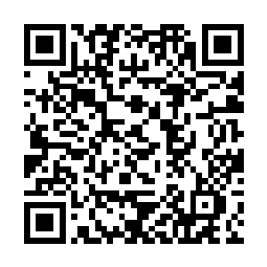 还要时刻当心被抓狗大队的警察捕捉打死的悲惨日子二维码生成