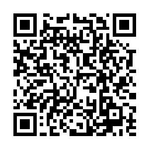 还要被人嘲笑她是个靠父母却成不了事的白痴星二代二维码生成