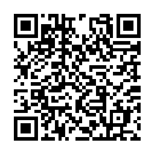 还要让四国的师生一个不漏的坐在台下看着她出丑二维码生成