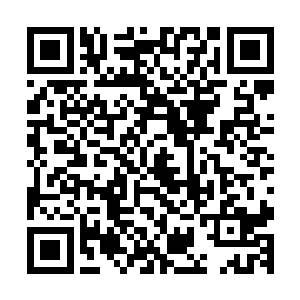 还要随时提心吊胆他们会不会趁着自己分心的时候在背后使坏二维码生成
